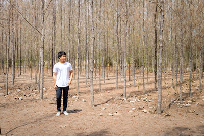 Full length rear view of man standing in forest