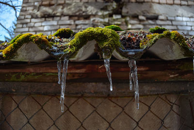 Close-up of water
