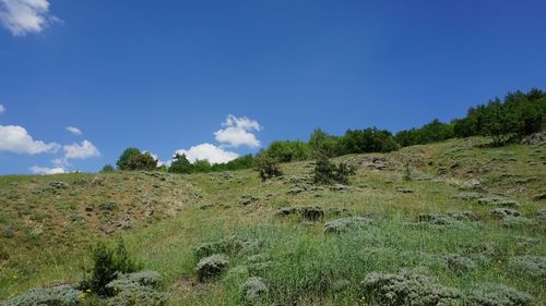 Scenic view of land against sky