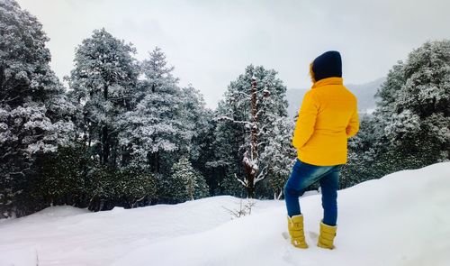 Rear view of person standing on snow covered trees