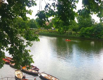 Scenic view of river by trees against sky