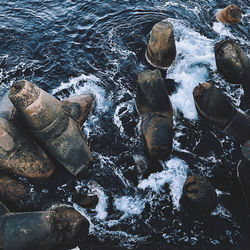 High angle view of water splashing on rocks