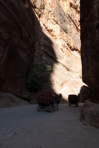 Horse carriages on land amidst rock formation