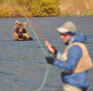 Man fishing on lake with bear in background