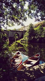 Arch bridge over river against trees