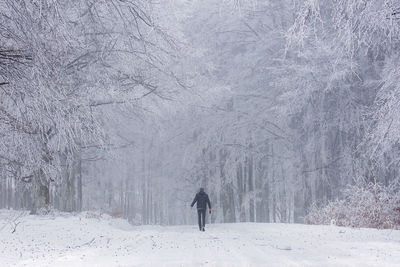 Rear view of man walking on snow covered land