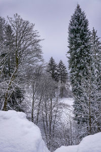 Bare trees on snow covered field against sky