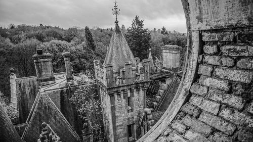 Panoramic shot of trees against sky