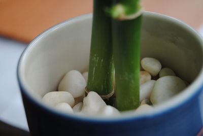 Close-up of vegetables in bowl