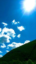 Low angle view of trees against sky