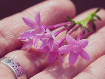 Close-up of hand with flowers