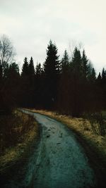 Road passing through bare trees