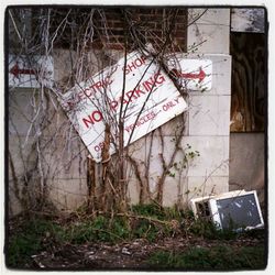 Old weathered wall