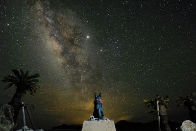 Low angle view of statue against sky at night