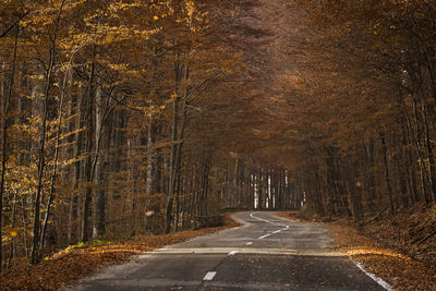 Road amidst trees in forest during autumn