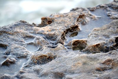 Close-up of rocks on beach