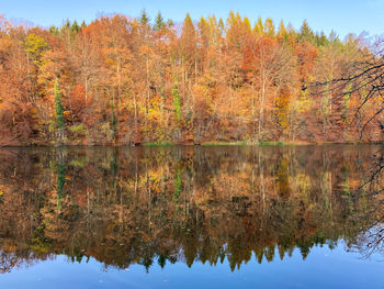 Reflection of trees in lake against sky during autumn