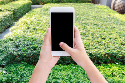 Midsection of person using mobile phone in park