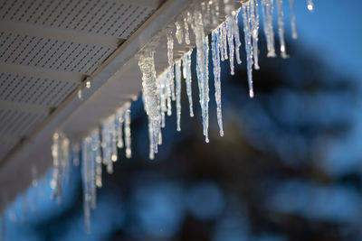 Close-up of icicles hanging in row