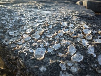 High angle view of stones on rock