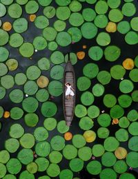 High angle view of woman on plants
