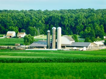 Scenic view of field against trees