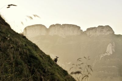 Rock formations on landscape against clear sky