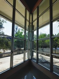 Reflection of trees on glass window