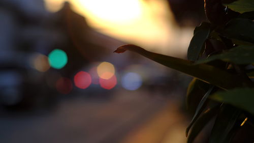 Defocused image of illuminated street at night