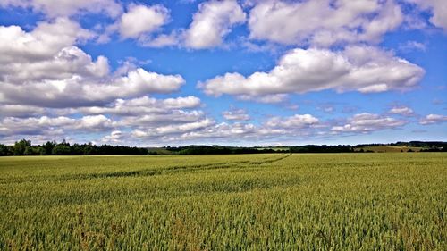 Scenic view of field against cloudy sky