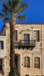 Low angle view of palm tree against building