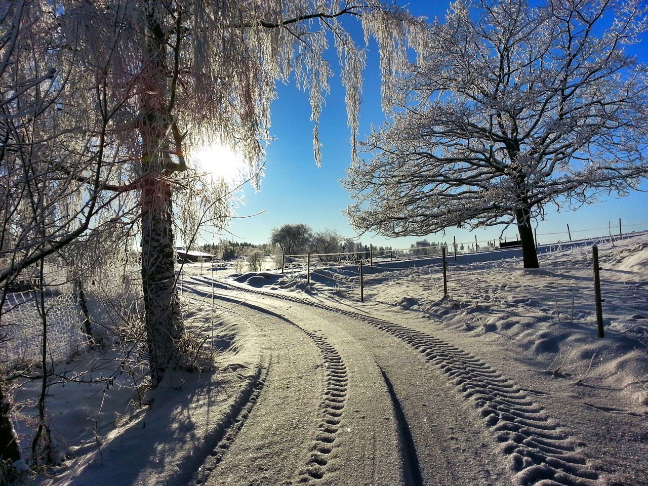 tree, the way forward, snow, tranquility, winter, clear sky, tranquil scene, cold temperature, landscape, bare tree, nature, diminishing perspective, tire track, road, vanishing point, sunlight, scenics, beauty in nature, transportation, non-urban scene