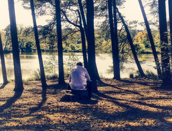 Rear view of man sitting on seat in forest