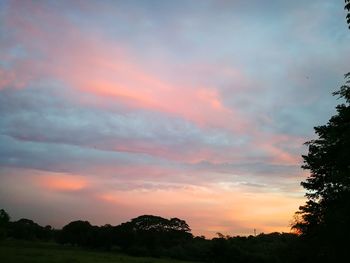 Silhouette trees against sky during sunset