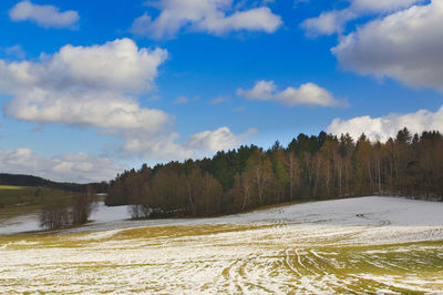 Scenic view of river by trees against sky