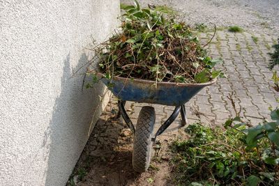 High angle view of potted plants on wall