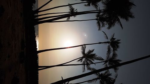 Low angle view of silhouette palm tree against sky during sunset