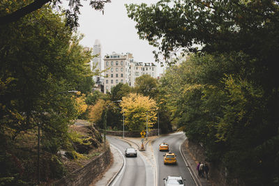 Cars on road amidst trees in city