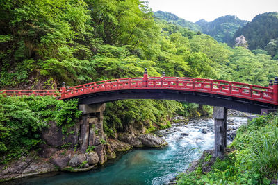 Bridge over river in forest