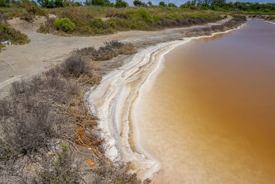 Scenic view of beach