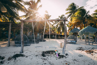 Trees on beach