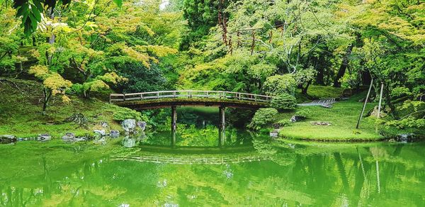 Arch bridge over lake in forest