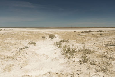 Scenic view of desert against sky