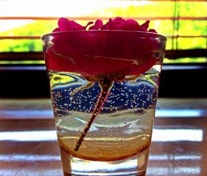 Close-up of drink on table