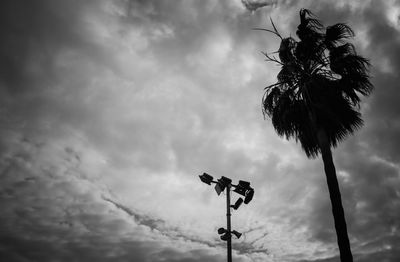 Low angle view of trees against cloudy sky