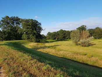 Scenic view of field against clear sky