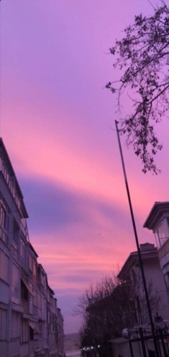 architecture, building exterior, sky, sunset, built structure, cloud - sky, tree, building, nature, pink color, no people, city, dusk, residential district, purple, house, outdoors, orange color, low angle view, plant, romantic sky