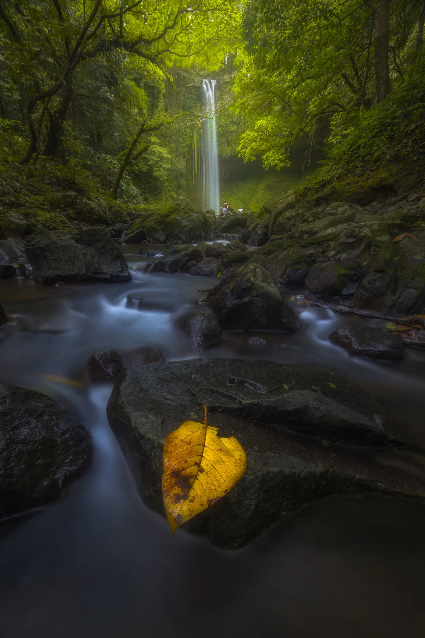 SCENIC VIEW OF WATERFALL