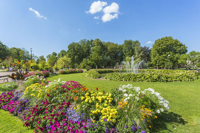 Scenic view of flowering plants in park against sky