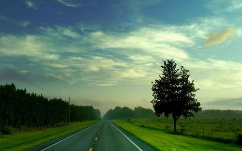 Road by trees against sky